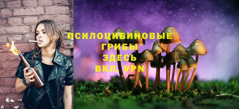 ссылка на мегу ссылка  Кодинск  Галлюциногенные грибы Psilocybe 